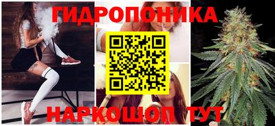 apvp Севастополь
