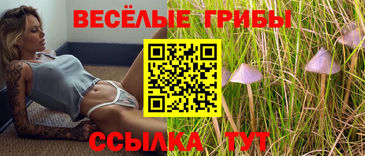 Галлюциногенные грибы Psilocybine cubensis  Галлюциногенные грибы прущие грибы  Саратов  Вход с VPN 